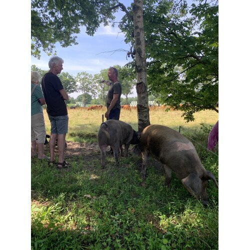 Opleiding Praktijkkamp Zelfvoorzienend Boeren en Leven met de Natuur