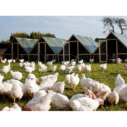 Boeren in het Bos Chipolata  worstjes Kipdijfilet