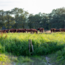 Boeren in het Bos Natuurvlees Probeer Pakket