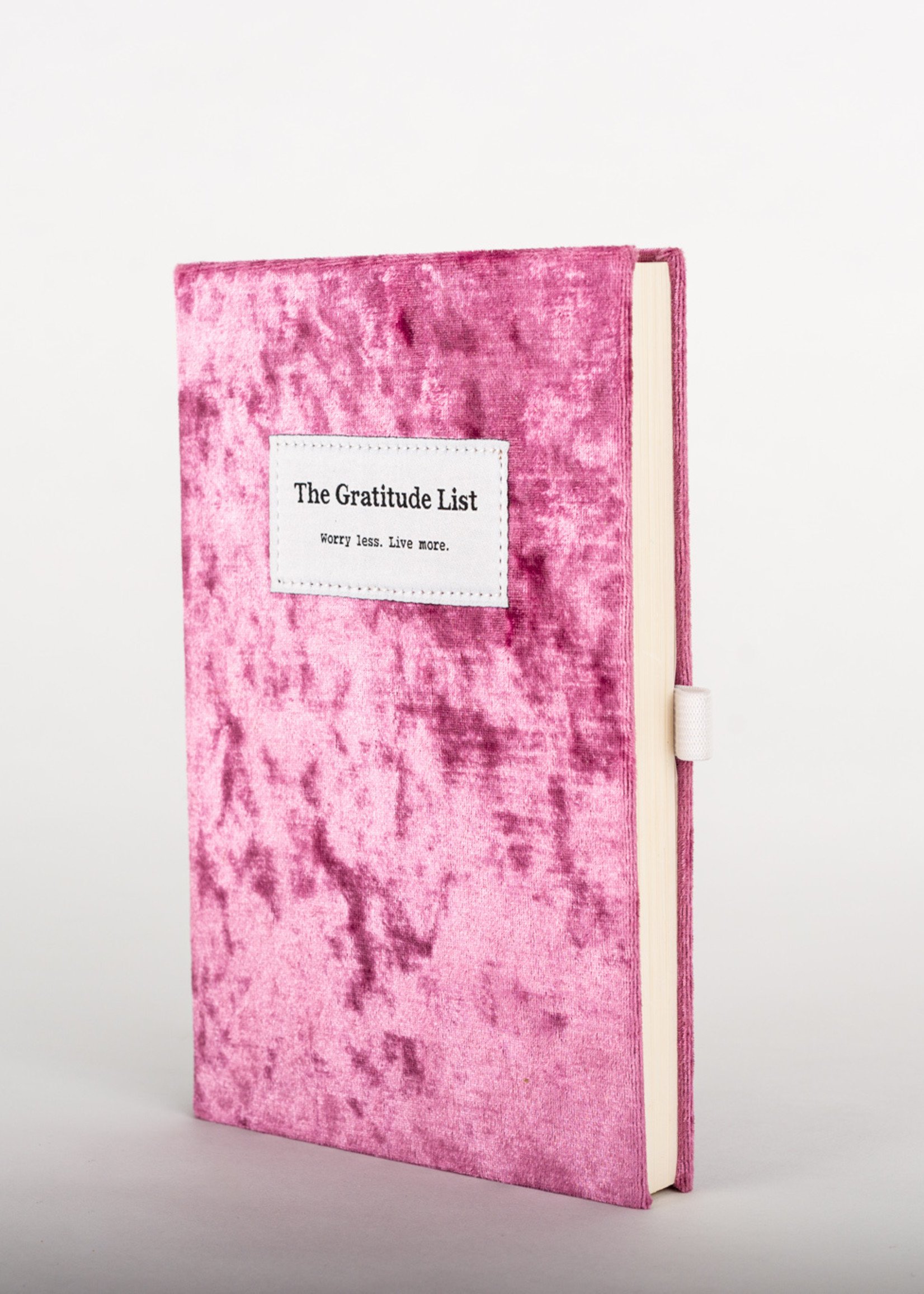 Gratitude List Book Raspberry