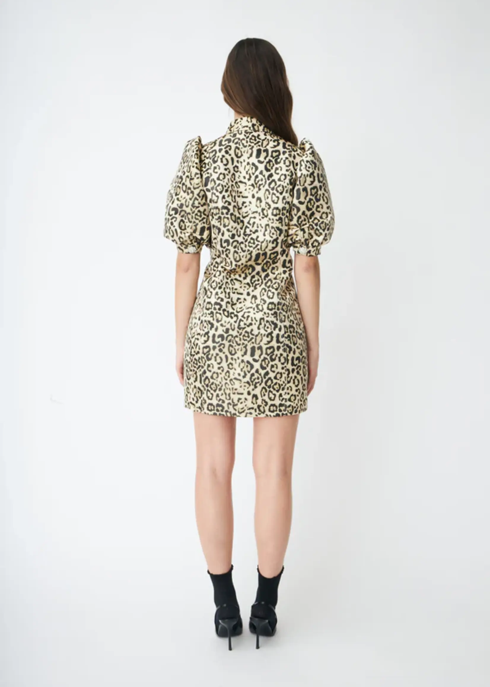 Crass Courtneycras Dress - Leo Jaquard