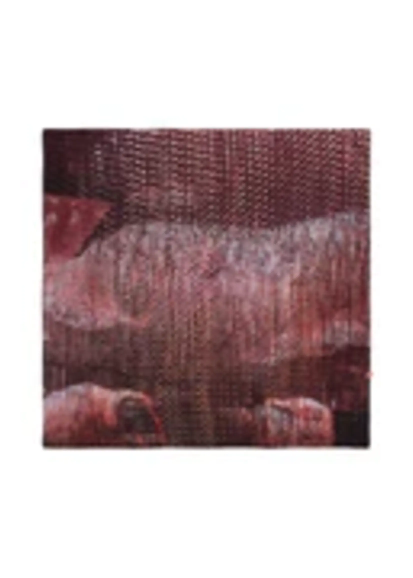 Talking Walls Twiggy Scarf - Stardust 70x70