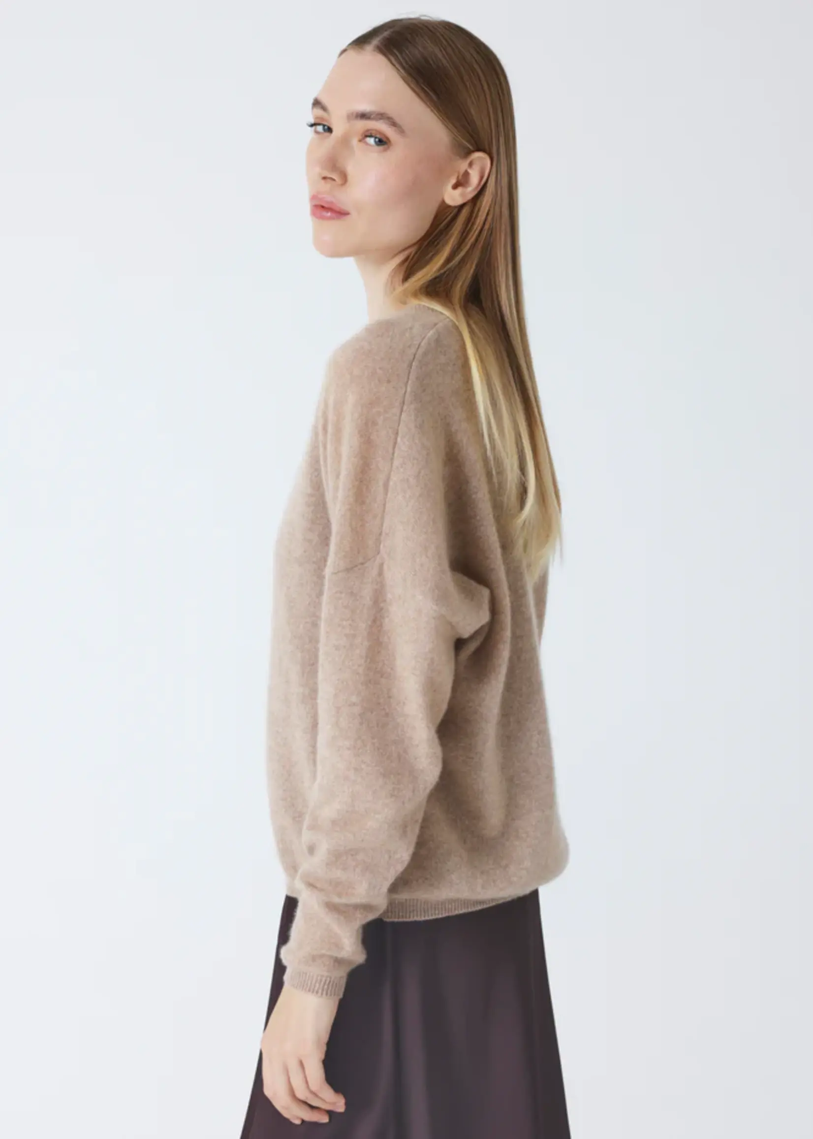 Absolut Cashmere Alicia Pull Col V Manches Longues - Chestnut