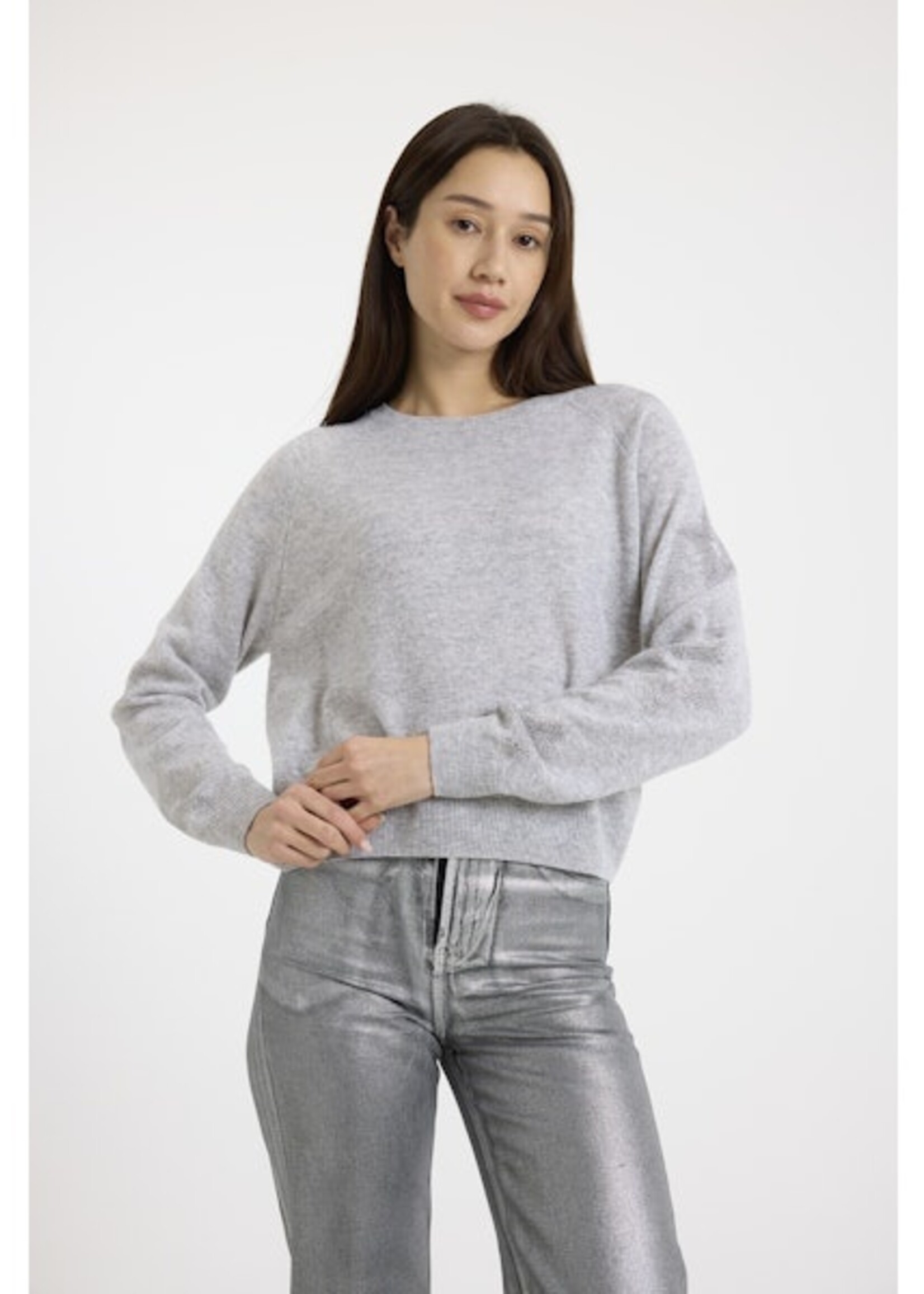 Brodie Star Dust Sleeve Crew Pumm - Super Grey