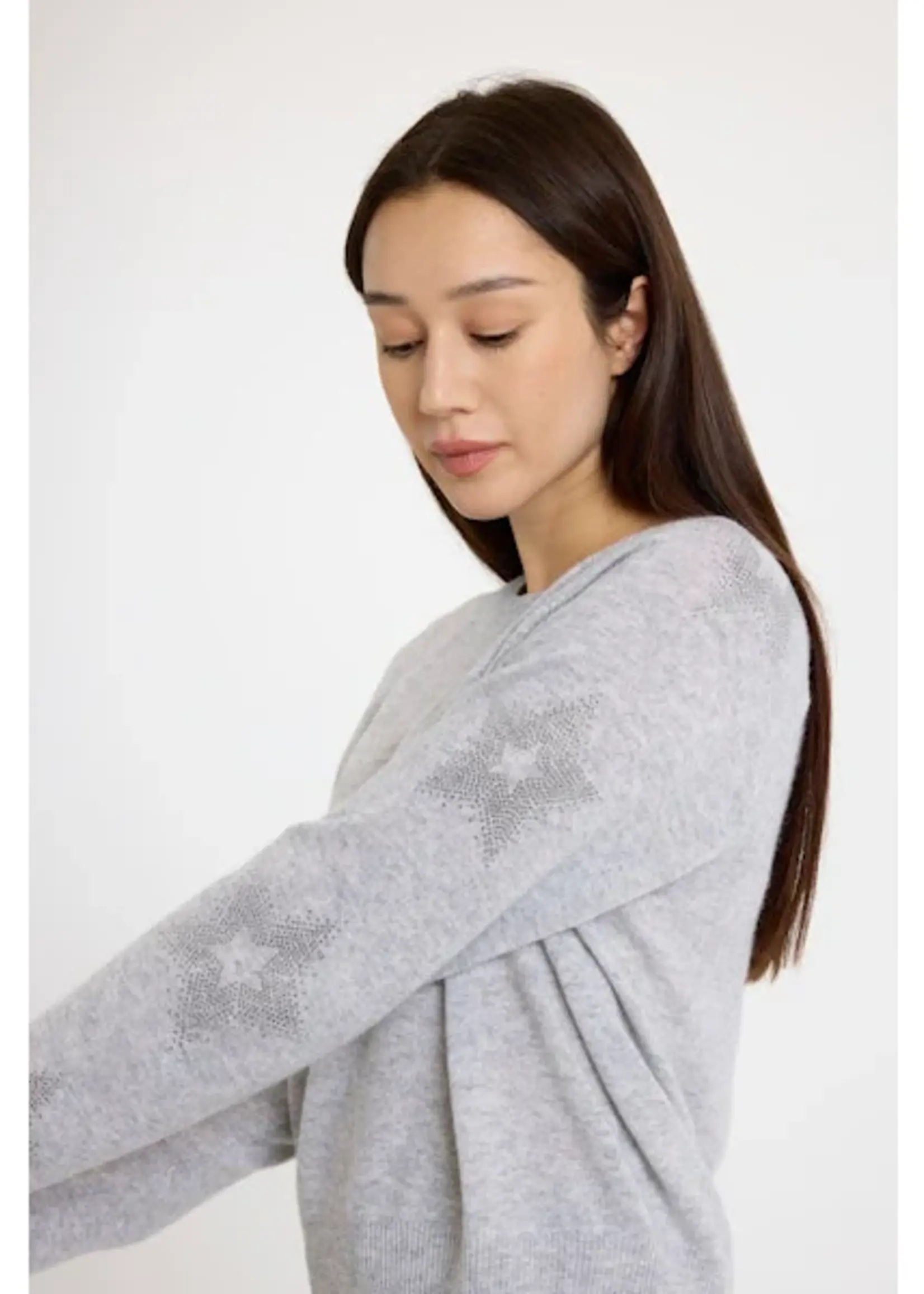 Brodie Star Dust Sleeve Crew Pumm - Super Grey