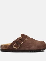 Scholl Fae New F sue- Dark brown