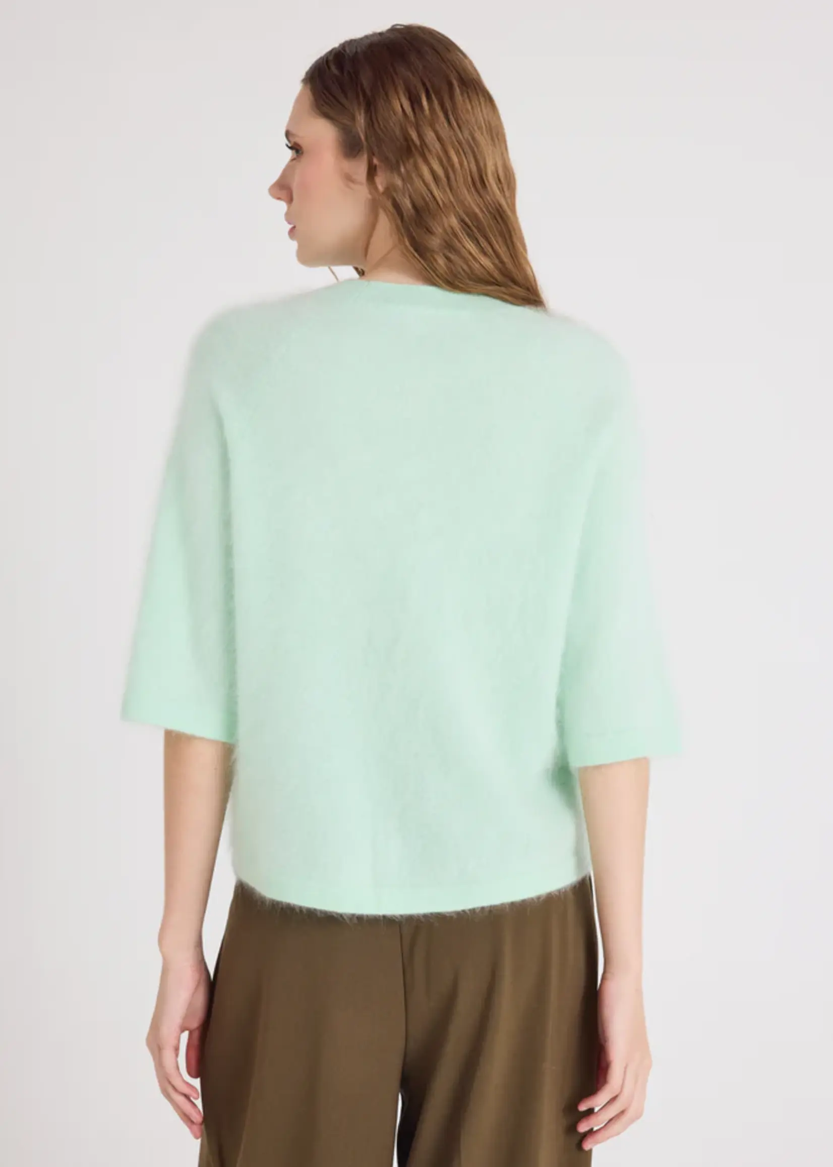 Absolut Cashmere Jenna Pull - Nile Green