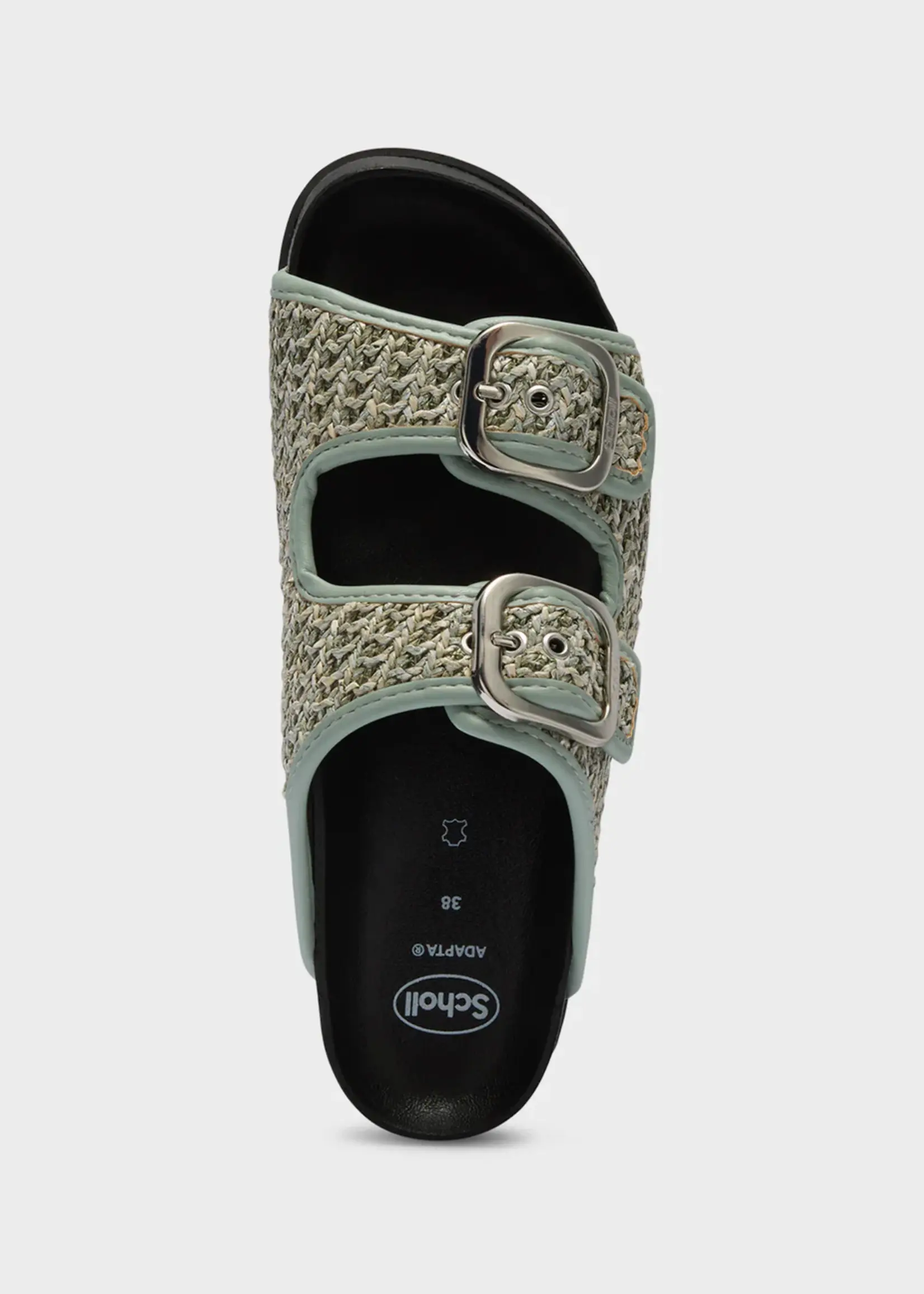 Scholl Noelle TexRaf - W- Sage