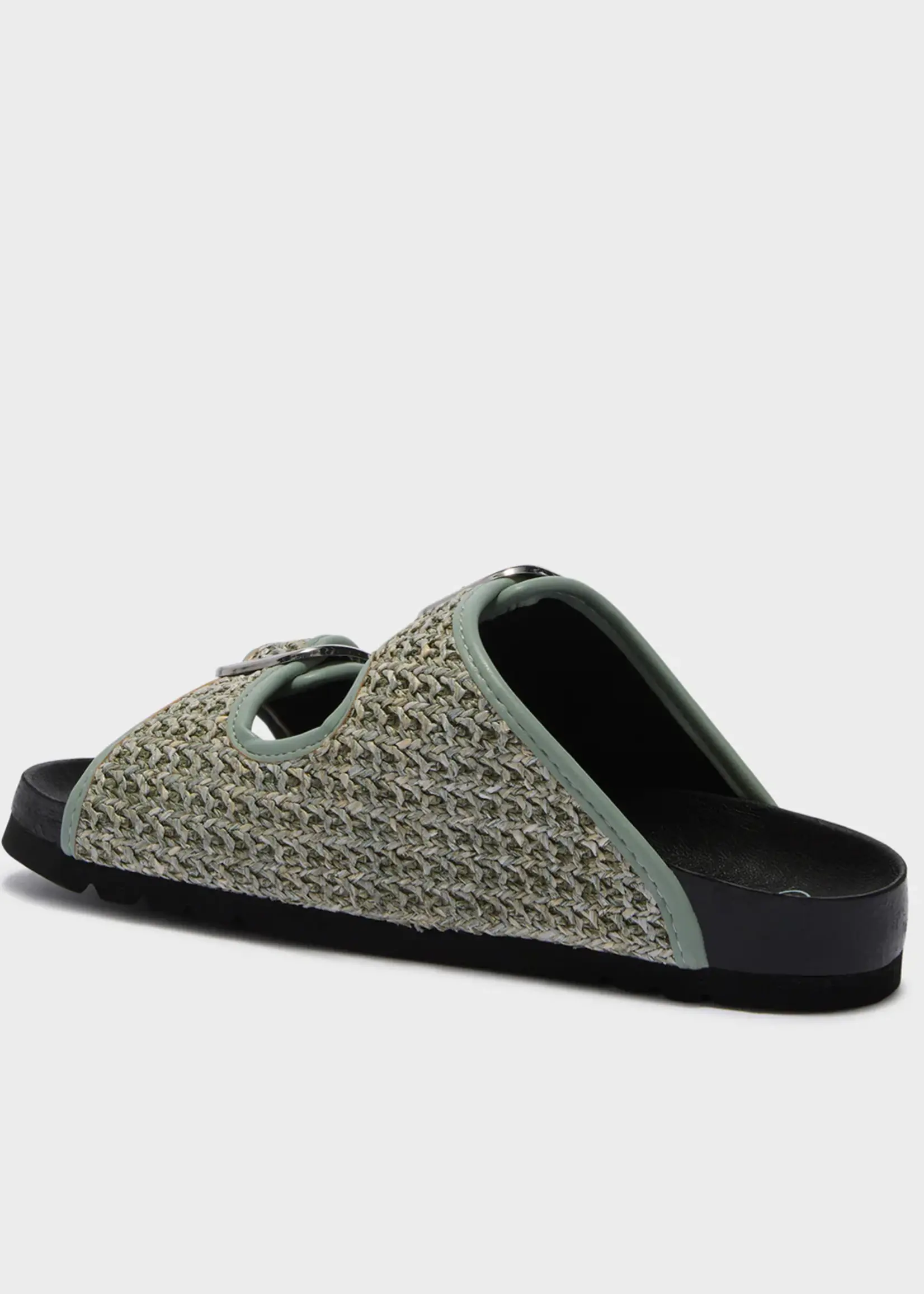 Scholl Noelle TexRaf - W- Sage