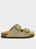 Scholl Noelle LeaSue - W - Sage