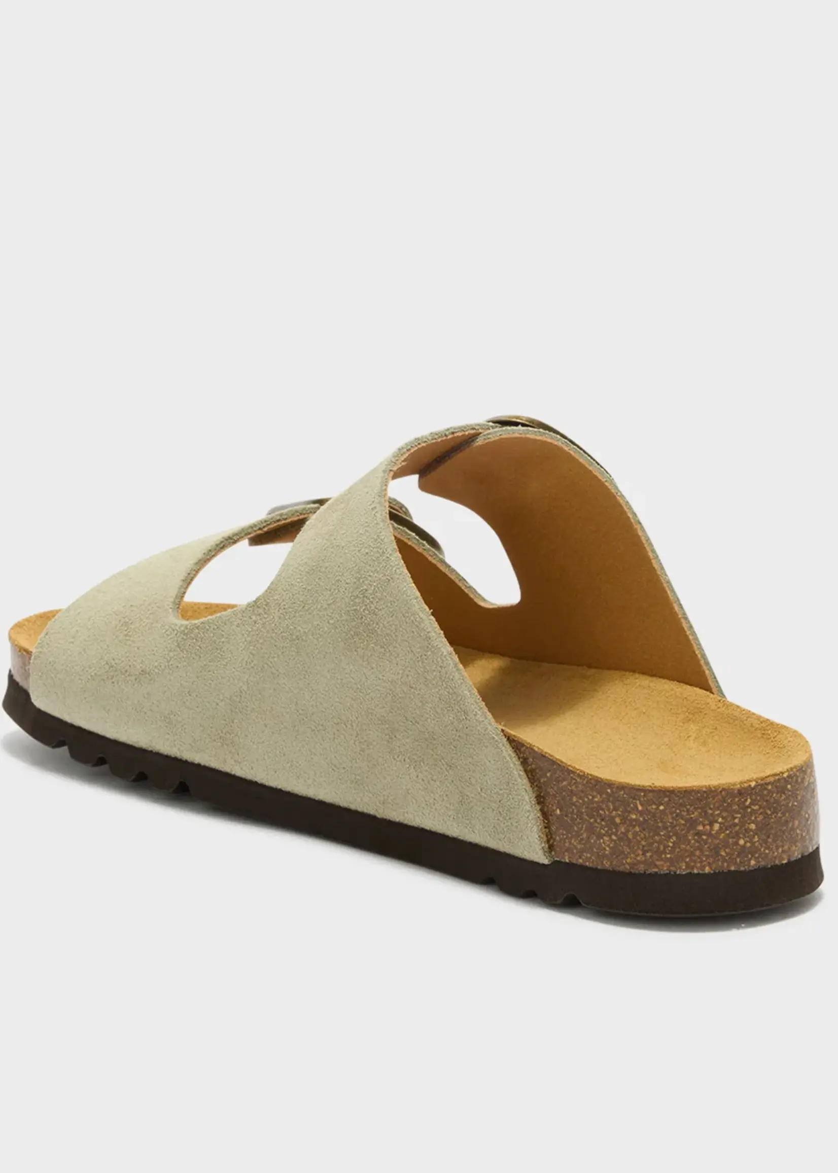 Scholl Noelle LeaSue - W - Sage