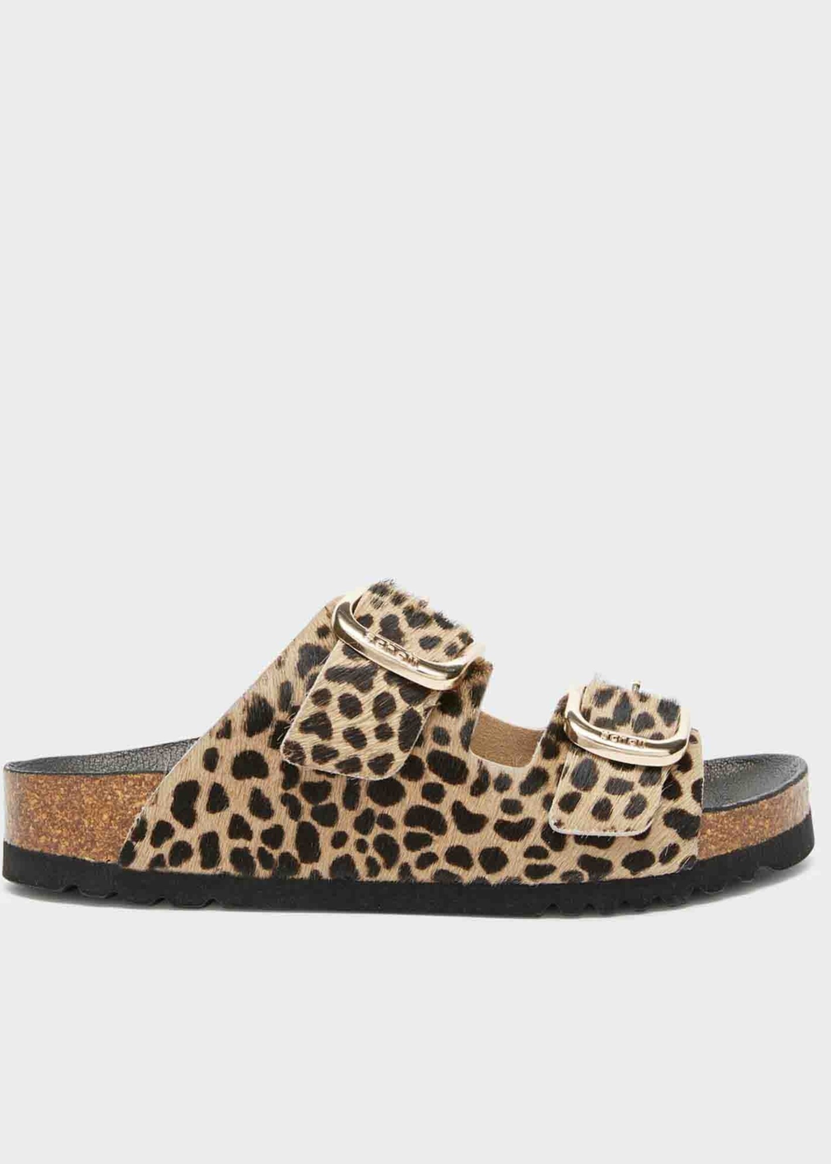 Scholl Noelle PrnLea - W- Leopard