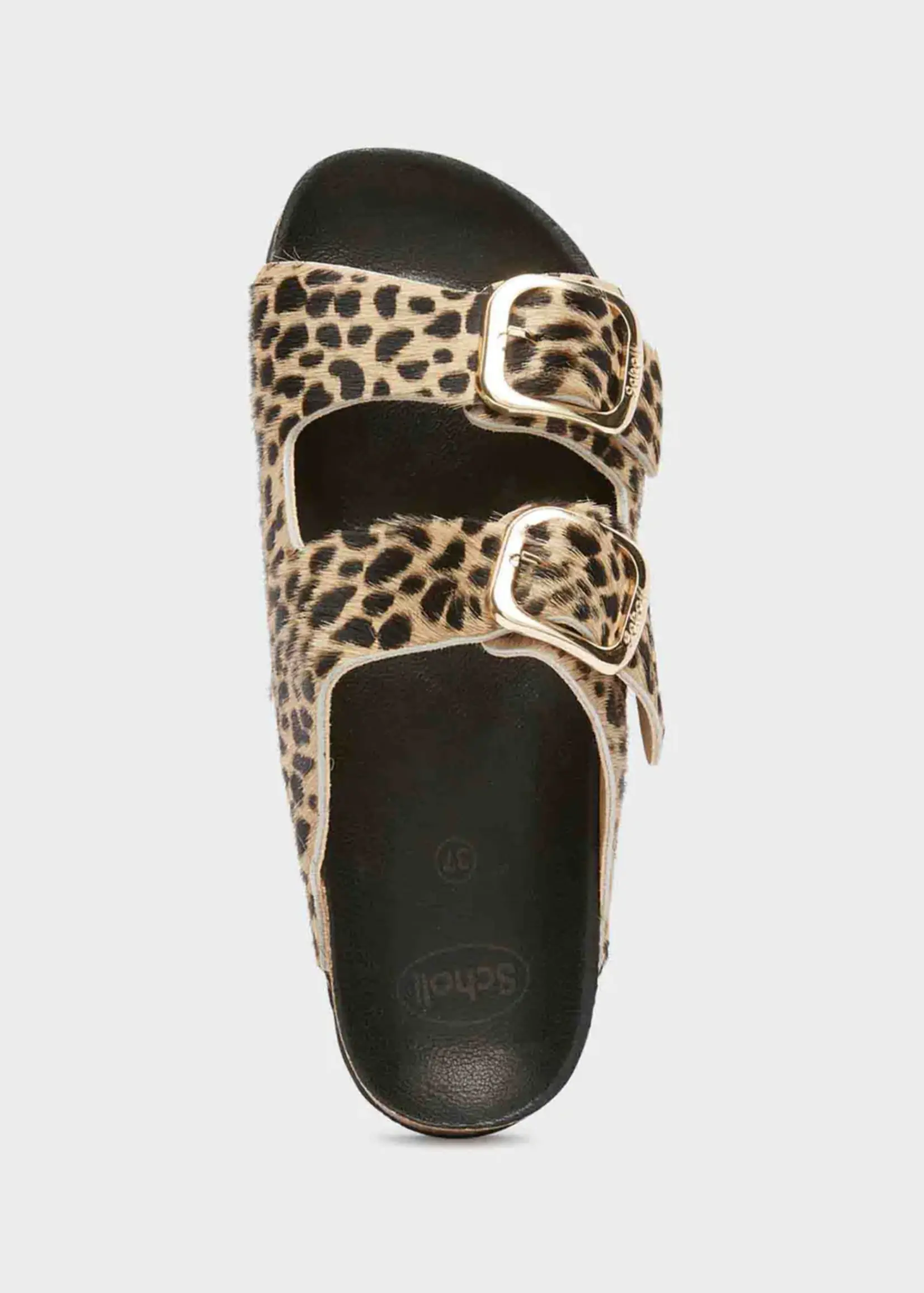 Scholl Noelle PrnLea - W- Leopard