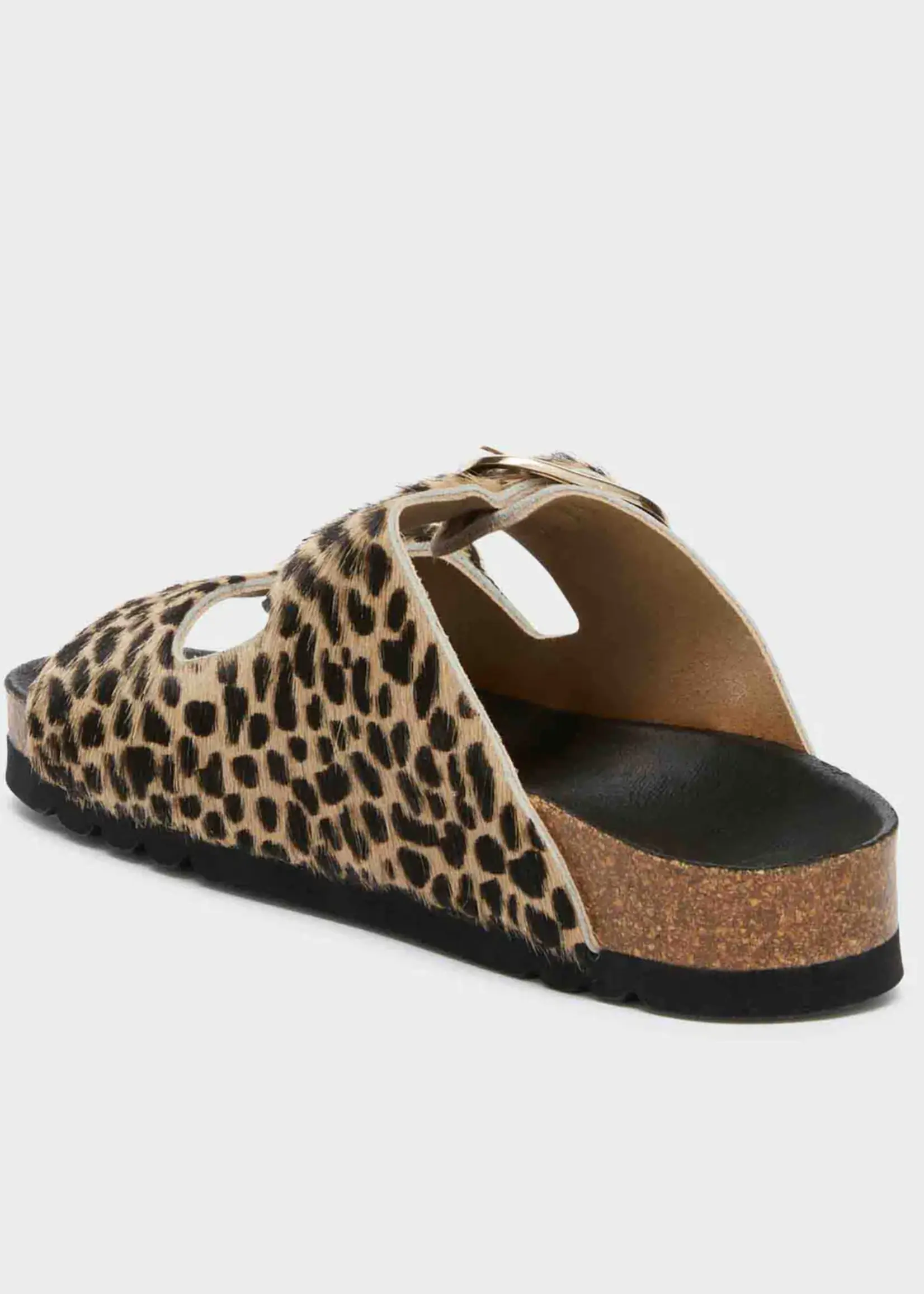 Scholl Noelle PrnLea - W- Leopard