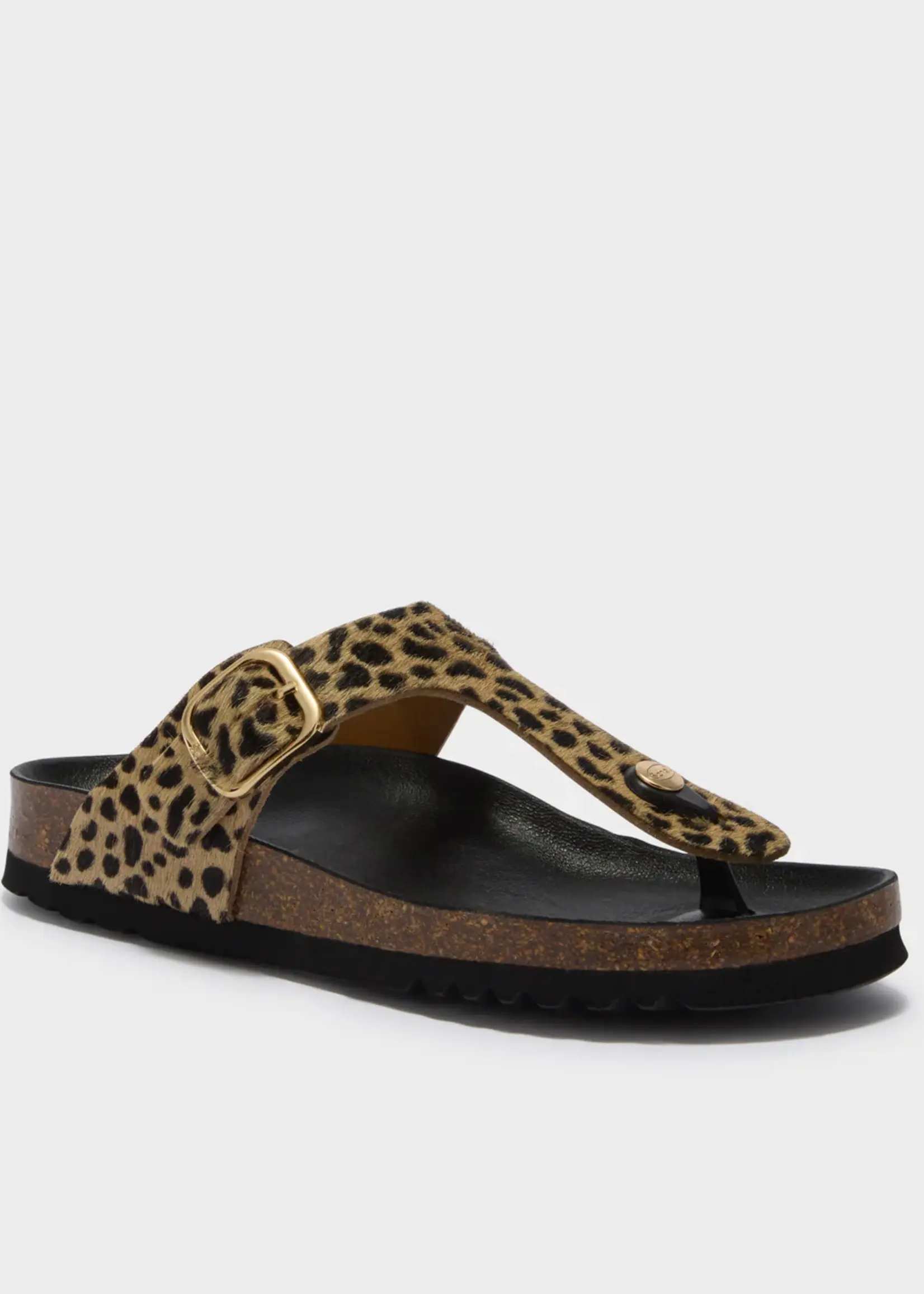 Scholl Anais LeaPon - W - Leopard