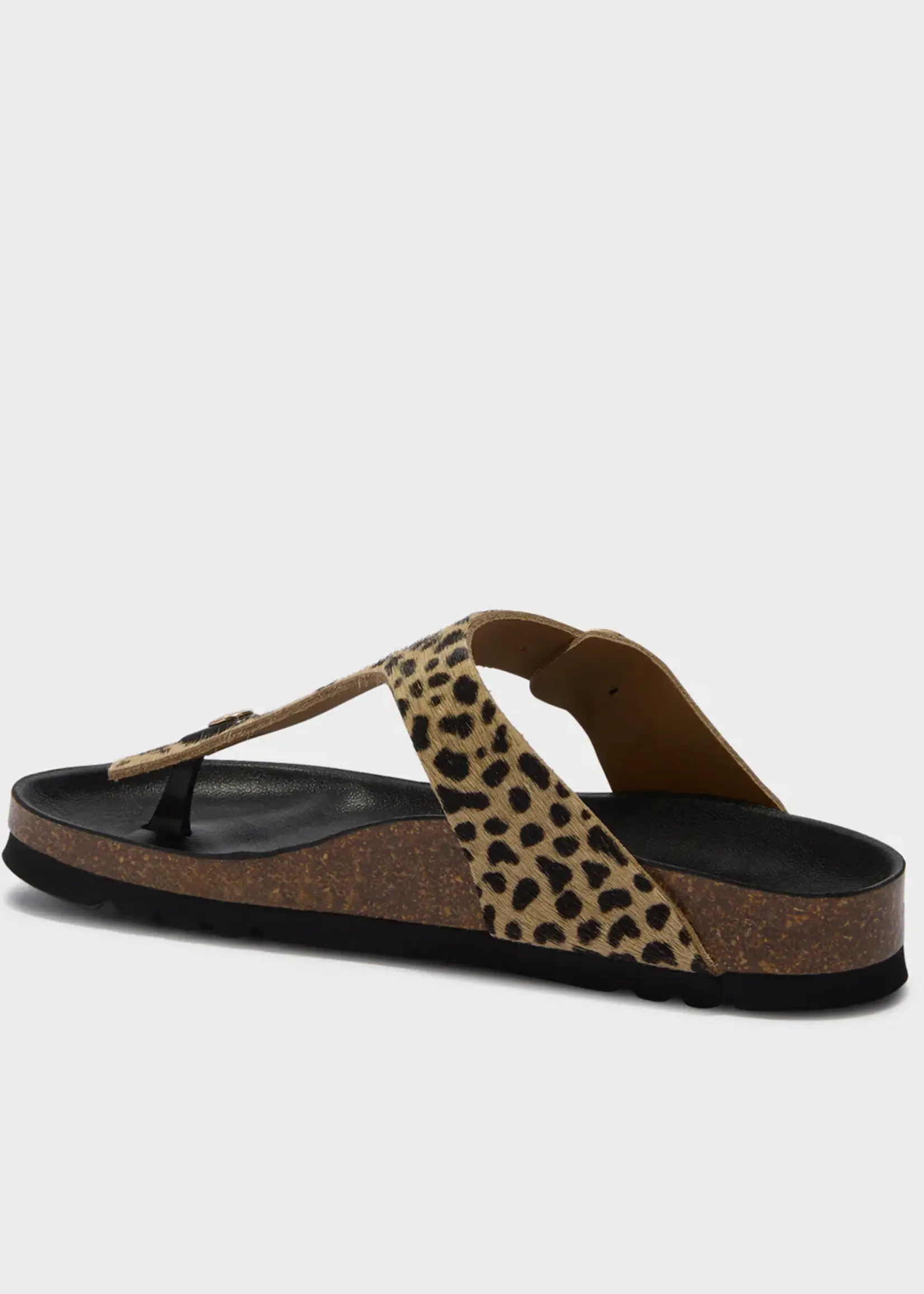 Scholl Anais LeaPon - W - Leopard