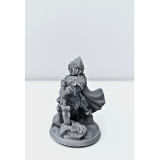 3D Printed Miniature - Paladin Female 02 - Dungeons & Dragons - Hero of the Realm KS