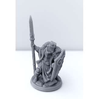 3D Printed Miniature - Paladin Male 02 - Dungeons & Dragons - Hero of the Realm KS