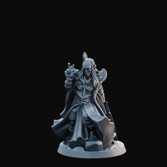 3D Printed Miniature - Elven Male 01 - Hero of the Realm KS