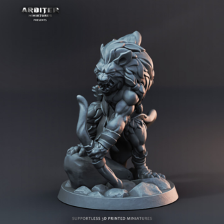 3D Printed Miniature - Hyenaman05  - Dungeons & Dragons - Desolate Plains KS