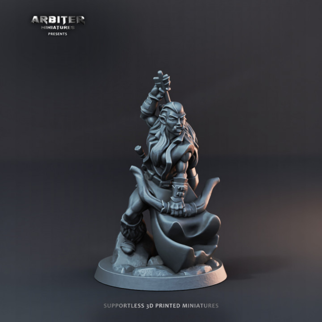 Half-Orc Female 02 - Hero of the Realm KS