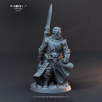3D Printed Miniature - Half-Orc Male 02 - Hero of the Realm KS