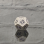 Dakota Irish - Metal Polydice - Silver Dragon Scale Metal Dice