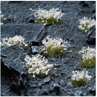 Gamers Grass White Flowers