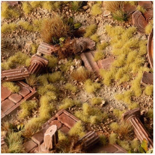 Beige grass