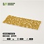 Beige grass