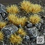Dry Tuft 6mm - Wild
