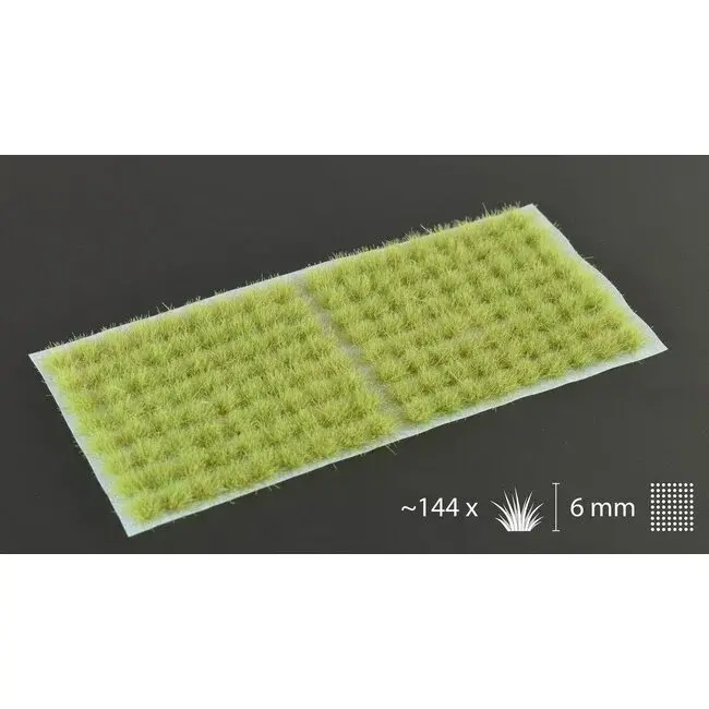 Light Green 6mm - Small