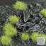 Light Green 6mm - Small