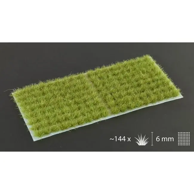 Dry Green 6mm - Small