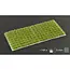 Dry Green 6mm - Small