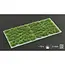 Strong Green 6mm - Wild