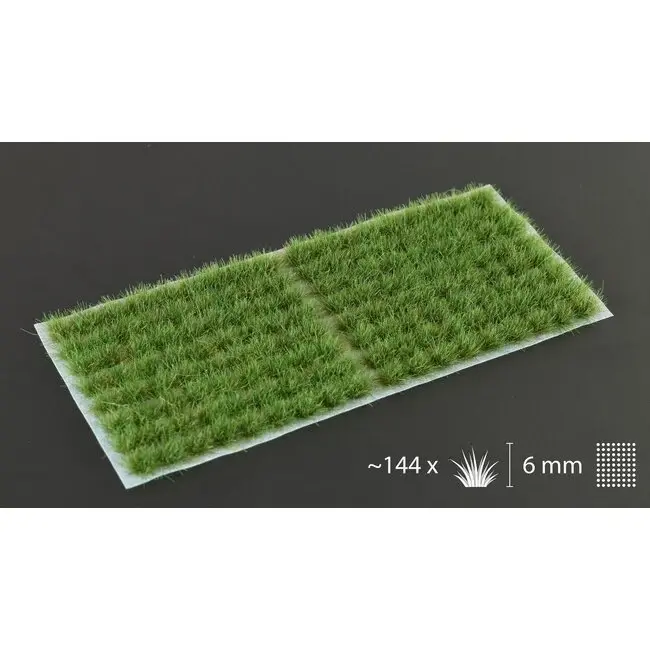 Strong Green 6mm - Small