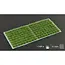 Strong Green 6mm - Small
