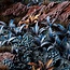 Alien Fern