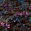 Laser Plants - Alien Rosette