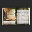 Worlds at a Glance: Towns & Villages Book