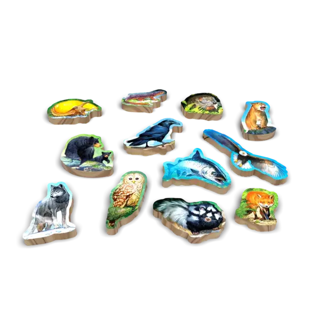 Canopy Evergreen Standard Edition