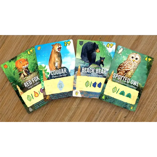 Canopy Evergreen Standard Edition