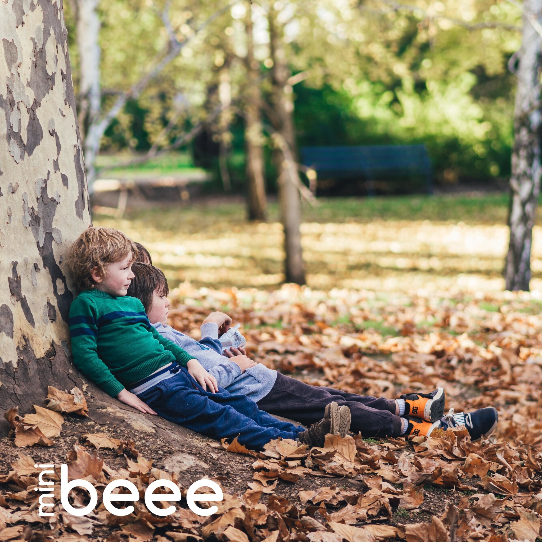 The roles of nature and play in childhood development