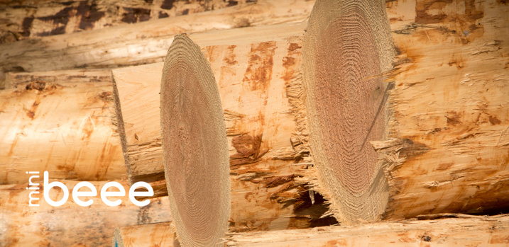 Why is it so important to buy sustainable wood?