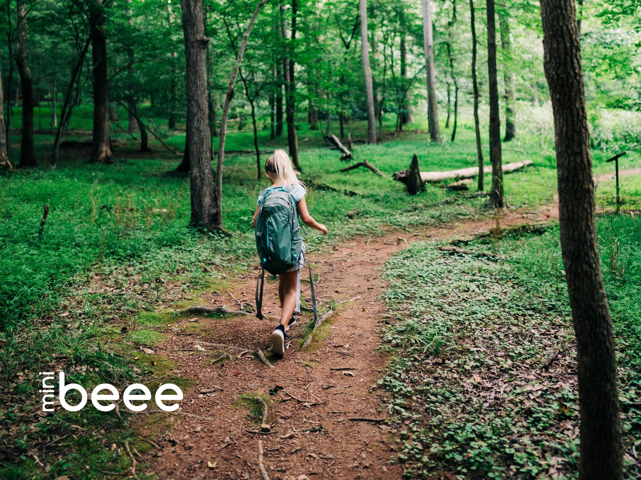 And into the forest we go.... A how to guide on creating your family nature trail
