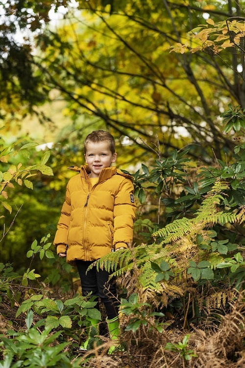 Our beginner’s guide to identifying trees