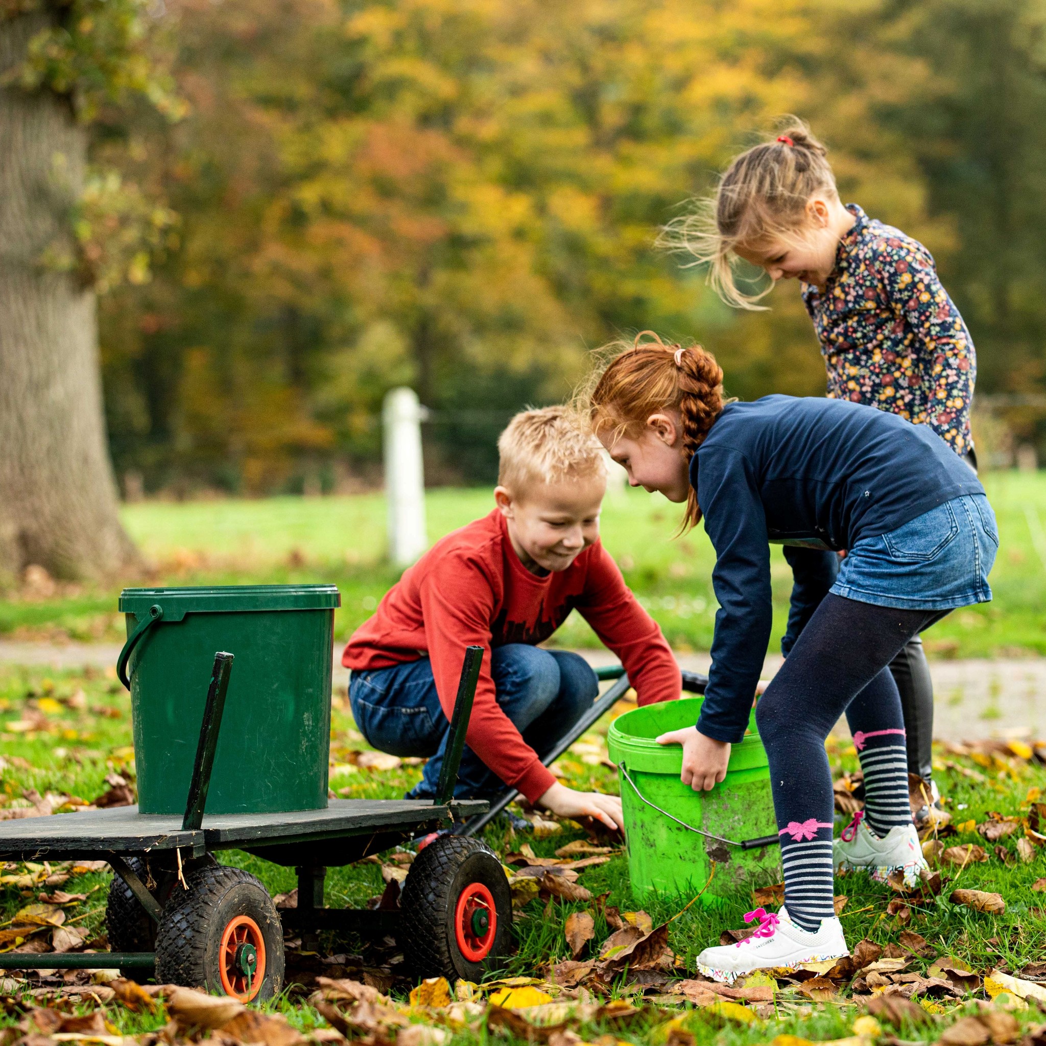20 Ways to Create a Child’s Discovery Garden