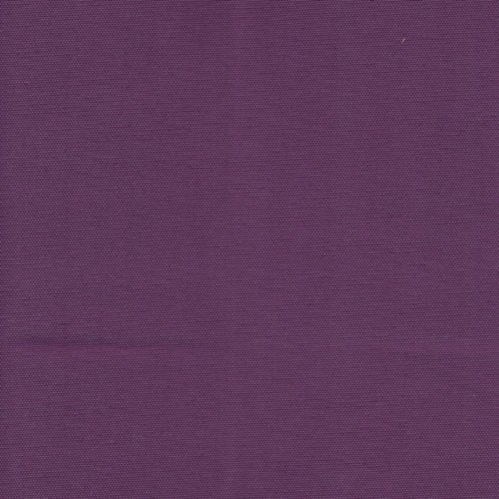 Flores 050 Purple
