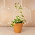 Botanopia Mini plant stake goud - Perch